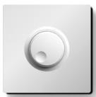 1000W Light Dimmer -White
